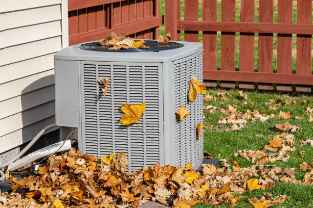 Best HVAC tune-up services  in Mount Vernon, MD